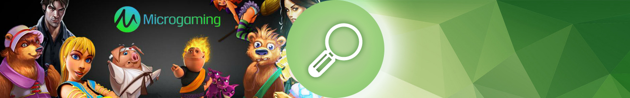 лучшие онлайн слоты и покер на деньги производителя microgaming