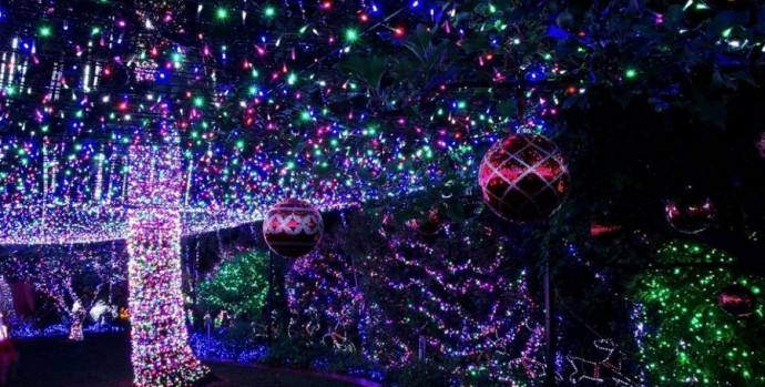 Самое большое количество елочных гирлянд: рекорд семьи Ричардсов