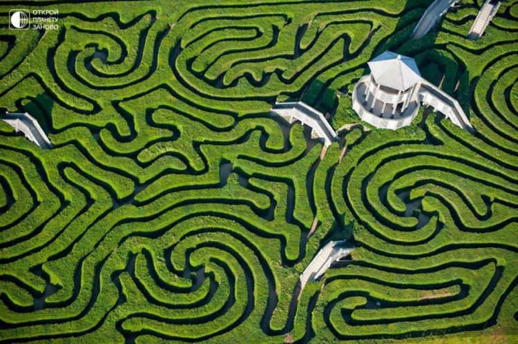 Самый длинный в мире лабиринт: Longleat Hedge Maze