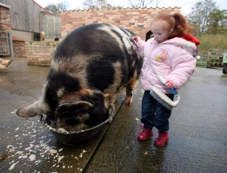 Самая маленькая в мире девочка: Шарлотта Гарсайд