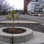 Самый маленький парк: два рекорда Самый маленький парк: два рекорда