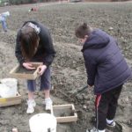 Единственный в мире общественный алмазный рудник