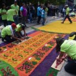 Самый длинный ковер из живых цветов Самый длинный ковер из живых цветов