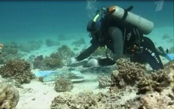 Киевлянин установил рекорд, создав под водой самую большую картину