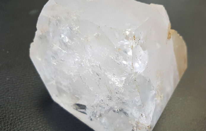 Самый большой гошенит