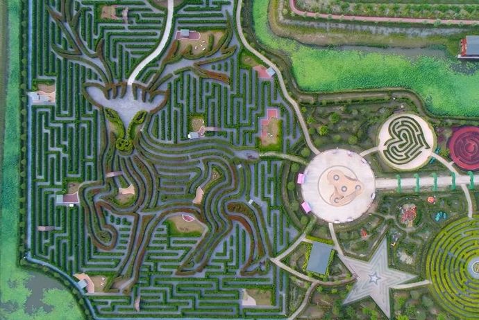 Самый большой лабиринт из живой изгороди